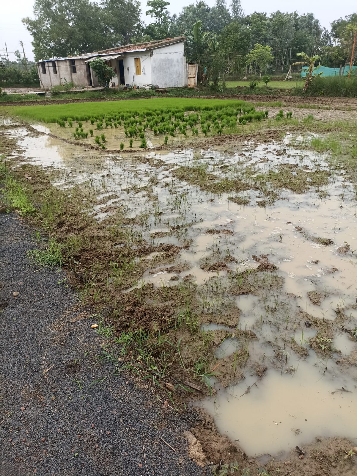 Farming Practical Development